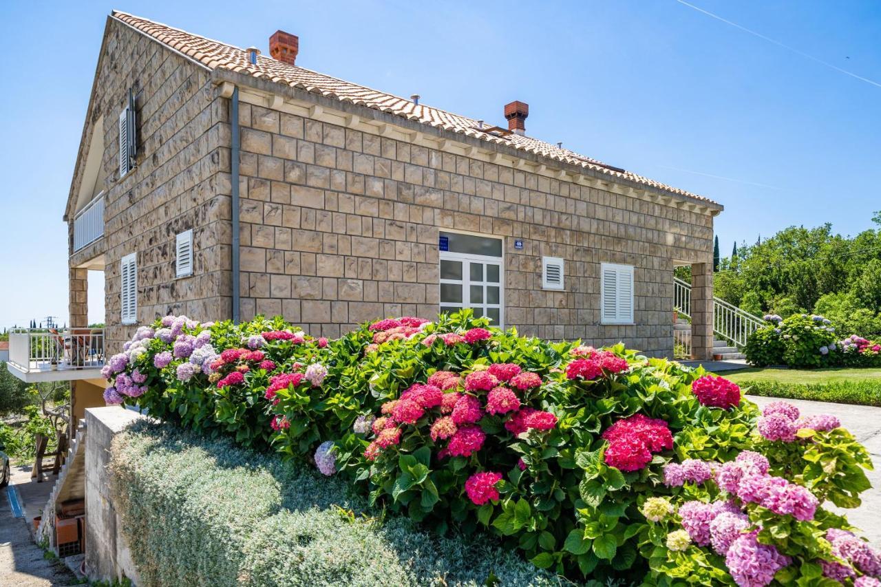 Apartments Amalija Čilipi Εξωτερικό φωτογραφία